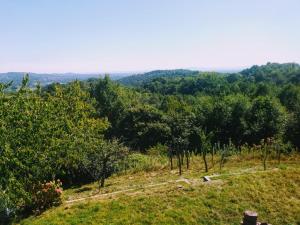 vistas a una colina con árboles en un campo en Il Pettirosso, en Castellamonte