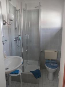 La salle de bains est pourvue d'une douche, de toilettes et d'un lavabo. dans l'établissement Landhaus zur Seebrücke Nr 3, à Dahme