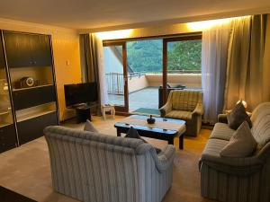 a living room with couches and a table and a television at Ferienwohnung Schönblick in Schönau im Schwarzwald