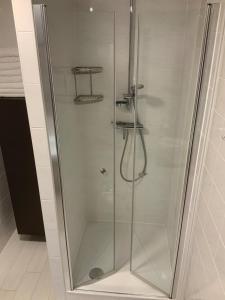 a shower with a glass door in a bathroom at Apartment 113 in Wilhelmshaven