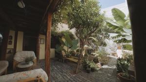 un soggiorno con un mucchio di alberi e piante di Casa La Monja a Garachico