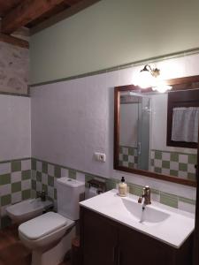 Sanchonuño的住宿－Casa Rural Las Cotarras，一间带水槽、卫生间和镜子的浴室