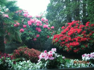 un ramo de flores rosas en un jardín en The Stone Hedge Bed and Breakfast en Richmond