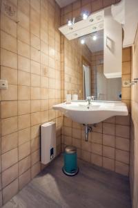 a bathroom with a sink and a mirror at Knusthof Lafrenz - Goldblick in Fehmarn