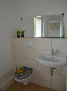 ein Badezimmer mit einem Waschbecken, einem WC und einem Spiegel in der Unterkunft Quaduxenbarg in Hornstorf