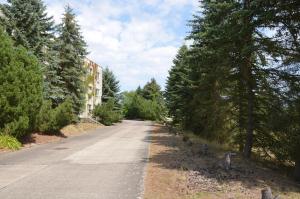 eine leere Straße mit Bäumen auf beiden Seiten in der Unterkunft Quaduxenbarg in Hornstorf