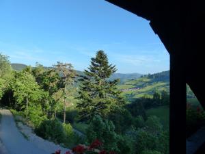 a tree on the side of a winding road at Ferienhaus Rombach Wohnung C in Wieden