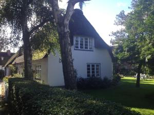 a white house with a tree in the yard at Blaue Stube in Nieblum