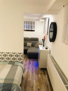 Beti Apartment 2 في Nentershausen: غرفة معيشة مع سرير وأريكة