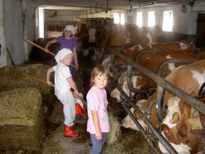 Hostia v ubytovaní Urlaub am Bauernhof Wenigeder - Familie Klopf