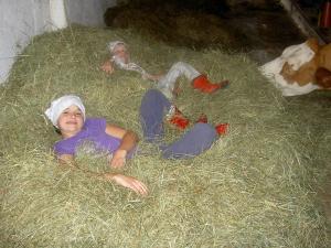 Hostia v ubytovaní Urlaub am Bauernhof Wenigeder - Familie Klopf