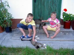 Deti v ubytovaní Urlaub am Bauernhof Wenigeder - Familie Klopf
