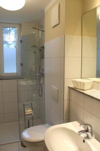 a bathroom with a sink and a shower and a toilet at Strandvilla Sophie App 2 in Dierhagen