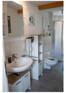 een badkamer met een wastafel en een toilet bij Ferienwohnung Monteurwohnung Zu Hause in Lennestadt