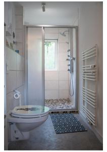 a bathroom with a shower with a toilet and a window at Ferienwohnung Monteurwohnung Zu Hause in Lennestadt