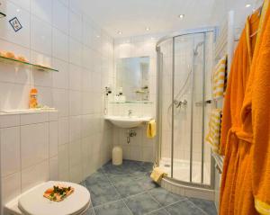 a bathroom with a shower and a toilet and a sink at Sonnhof-Christianhof, Appartement in Bad Hofgastein