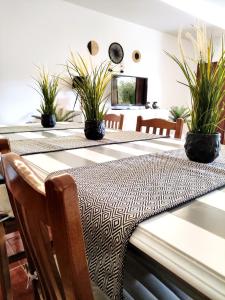 a group of tables with potted plants on them at D'Oliva Gerês - River Side Houses in Geres