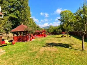 a yard with a playground and a pavilion at Cabana Râul Lung in Caransebeş