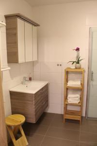 a bathroom with a sink and a shelf with towels at Ferienwohnung "Zum Schloßkeller" in Wolkenstein