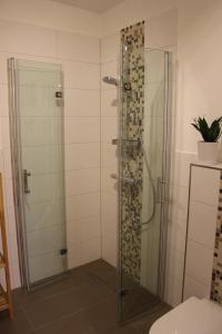 um chuveiro com uma porta de vidro na casa de banho em Ferienwohnung "Zum Schloßkeller" em Wolkenstein