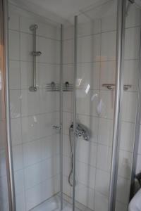 a shower with a glass door in a bathroom at Ferienwohnung Seeblick Nr 5, 2 Zi-Bärental, Feldberg in Feldberg