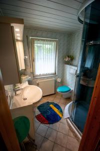 a bathroom with a sink and a toilet and a shower at Ferienhaus Kahl in Ilmenau