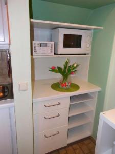 a kitchen with a counter with a microwave and a plant at De kleene Linde in Heiligenhafen