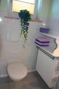 a bathroom with a toilet and a plant on the wall at De kleene Linde in Heiligenhafen