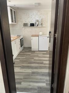 Kuhinja ili čajna kuhinja u objektu Apartman 67