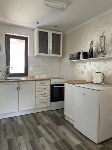 Kuhinja ili čajna kuhinja u objektu Apartman 67