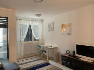 TV a/nebo společenská místnost v ubytování Apartment Ilica Newish