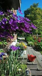 un giardino con fiori viola su un vialetto di legno di FW Einfeldt a Hinrichsdorf