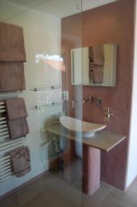 a bathroom with a sink and a glass shower at Studio Via Claudia Augusta in Denklingen