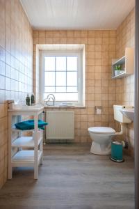 ein Bad mit einem Waschbecken, einem WC und einem Fenster in der Unterkunft Knusthof Lafrenz - Küstenblick in Fehmarn