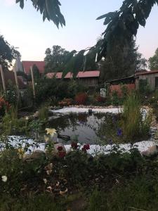 a pond in the middle of a garden at Die alte Kate in Tribohm