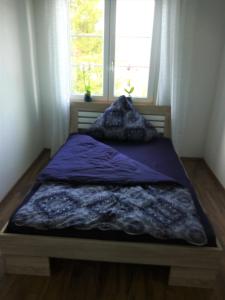 a bed in a room with a window at Ferienwohnung Margot in VS in Villingen-Schwenningen
