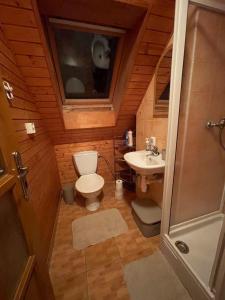 A bathroom at Apartmán na hranici Még 37 kép
