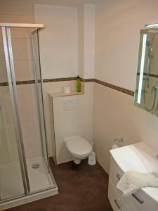 a bathroom with a toilet and a shower and a sink at "Landhaus Voss" Typ 4 Nr12 in Staberdorf
