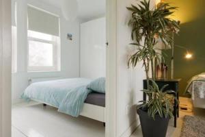 アムステルダムにあるAdam & Eve - Apartmentの窓と2つの植物のあるベッドのある寝室