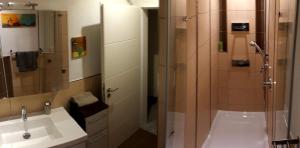 a bathroom with a glass shower and a sink at Studio Summer Garden in Trassem
