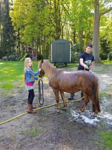 uma jovem está acariciando um cavalo marrom em Gästehaus Bommelsen - FEWO 2 em Bomlitz