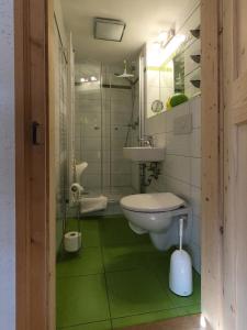 Koupelna v ubytování Biohof Neihausmo