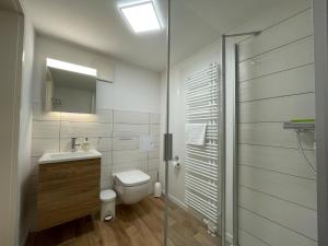 uma casa de banho com um WC, um lavatório e um chuveiro em Apartment No10 em Quedlinburg
