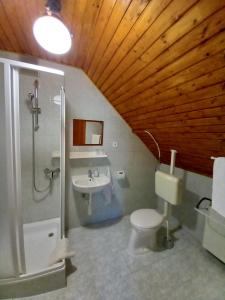 Fotografie z fotogalerie ubytování Fancsika Vendégház v destinaci Debrecín