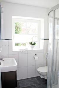 a bathroom with a toilet and a sink and a window at "Landhaus Voss" Typ 2 Nr5 in Staberdorf