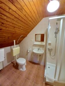 a bathroom with a toilet and a shower and a sink at Fancsika Vendégház in Debrecen +40 photos