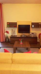 ein Wohnzimmer mit einem Sofa und einem Flachbild-TV in der Unterkunft Ferienwohnung Klein in Bad Zwischenahn