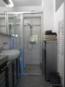 een badkamer met een douche en een wastafel bij 5-Sterne- Fewo "Juwel" in Allenbach