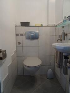 een kleine badkamer met een toilet en een wastafel bij 5-Sterne- Fewo "Juwel" in Allenbach
