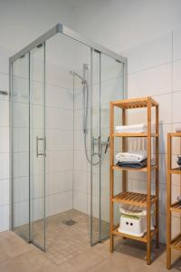 y baño con ducha y mampara de cristal. en Oesenhof - Dielenwohnung, en Bad Fallingbostel